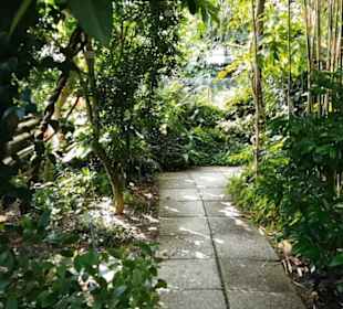 Botanischer Garten