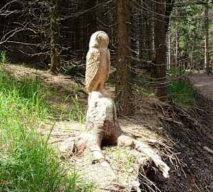 Wanderung am Rennsteig