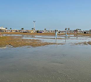 In der ganzen Region