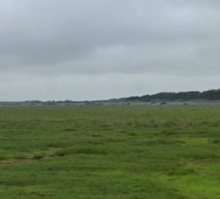 Die Salzwiesen, Deich und Böhler Leuchtturm