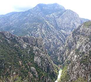 Ausflug ins Gebirge