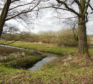 Naturschutzgebiet Boberger Niederung