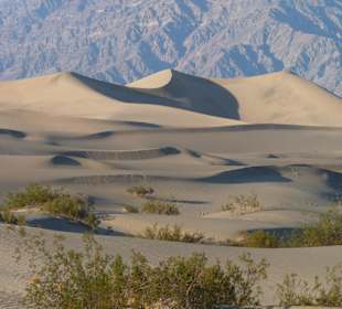 Mesquite Sand Dunes