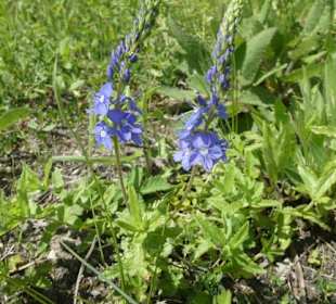 Eindruck vom Spaziergang Ostheimer Streifberg-Tour