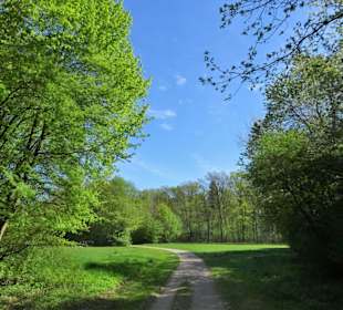 Eindrücke aus dem Walter-Peters-Park