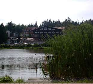 Auf der Wanderung des Liebesbankweges