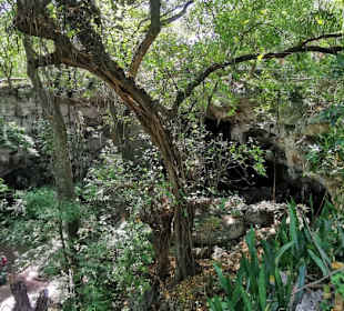 Ausflug zum National Park Los Tres Ojos mit Andy