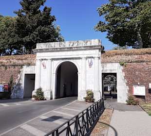 Porta Elisa