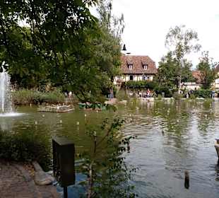 Erlebnispark Tripsdrill