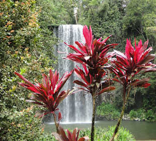 Milla Milla Falls