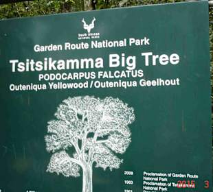 Tsitsikamma National Park
