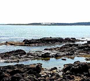 Stadtrundgang Punta del Este