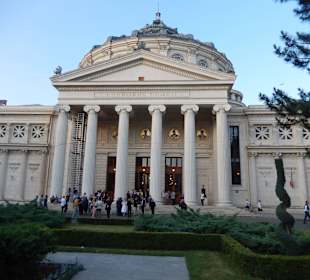 Wejście główne