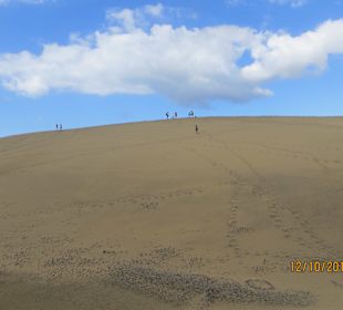 Dünen von Maspalomas