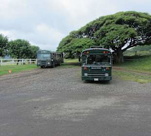 Kualoa Ranch