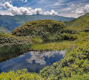 Wandern Hochpillberg