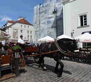 Museum und Park von Jan Kochanowski