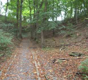 Chapuis Park