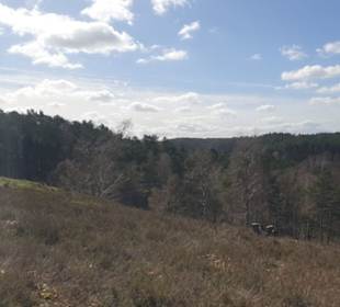 Fischbecker Heide Wanderwe 6