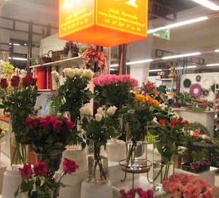 Hala Targowa Wrocław