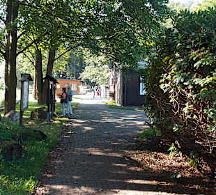 Wildpark Osterzgebirge