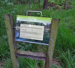 Im Moor am Großen Bullensee