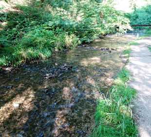 Wanderung durch die Kleine Luxemburger Schweiz