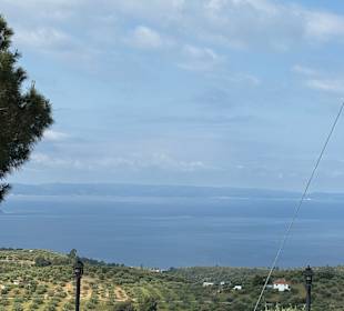 Sithonia 