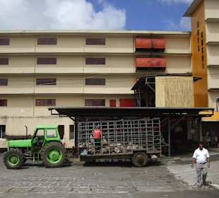 Teefabrik in Bois Cheri