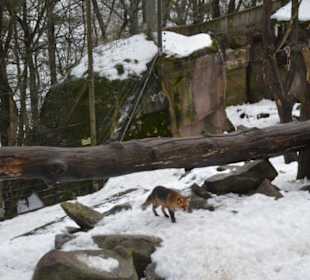 Freilichtmuseum Skansen