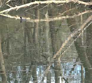 Kirchentellinsfurter Baggersee