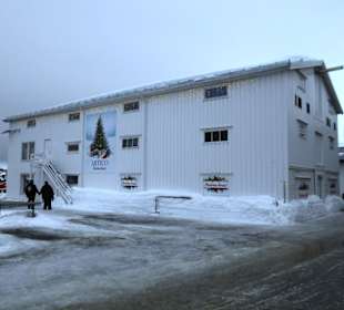 Artico Christmas House