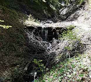 Wandern Balderschwang
