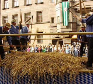 Dreschergruppe Wetzendorf
