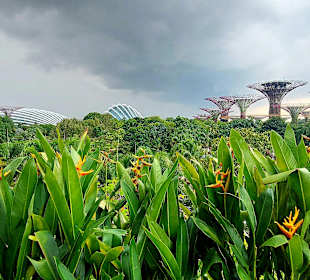 Gardens by the Bay
