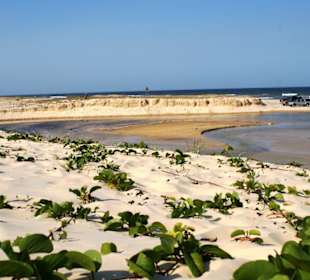 W oczekiwaniu na odpływ na fraser island.