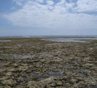 Ausflug Glasbodenboot Diani Beach