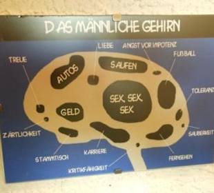 Einer von vielen Sprüchen auf dem Damen-WC