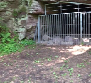 Burg Mandelberg