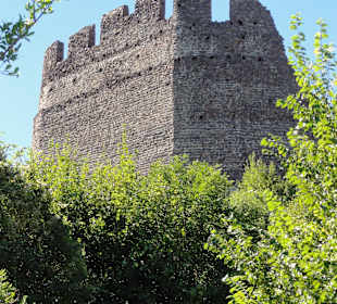 Burgruine Leuchtenburg