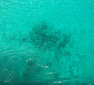 Glasbodenboot Tour Seascope Makadi Bay