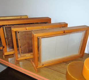 Wabenrahmen im Bienenhaus des Museums