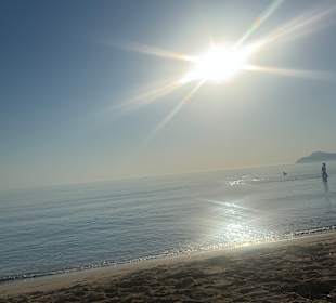 Strand