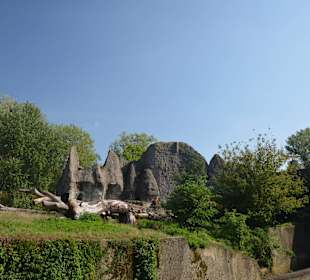 Zoo