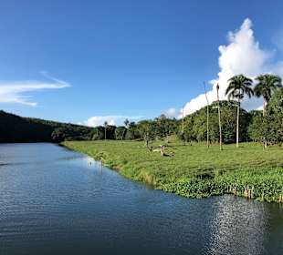 Tour & Ausflug Bayahibe