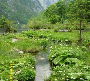 Wandern zum Hintersee