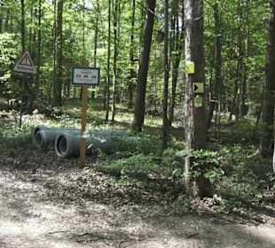 Wanderweg Hochgehwachsen
