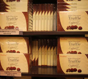 Chocolate and Coffee Museum