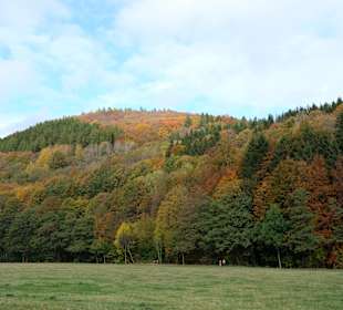Wandern Willingen