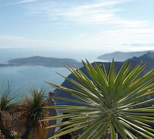 Tolle Sicht vom Kakteengarten